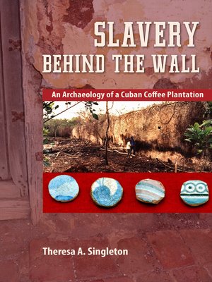 cover image of Slavery behind the Wall
